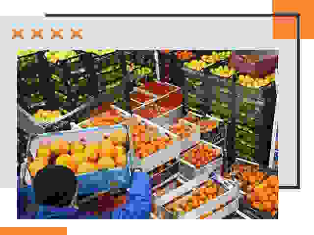 Перевозка скоропортящихся продуктов в Дубне
